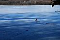 Lago Piccolo di Avigliana ghiacciato_008